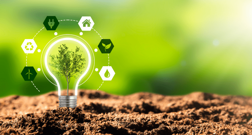 The Role of Technology in Sustainable Development: Innovations for a Greener Future