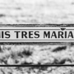 corporate intelligence data analysis