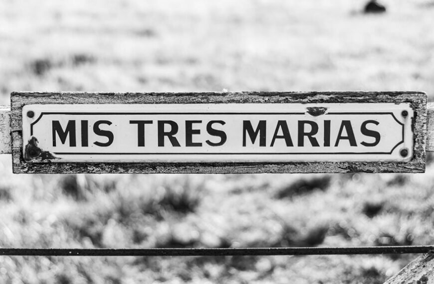 corporate intelligence data analysis