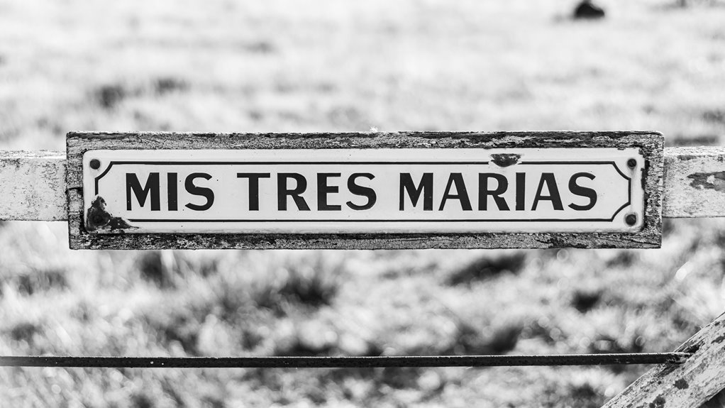 corporate intelligence data analysis