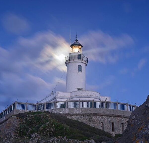 macro commercial signal stability report