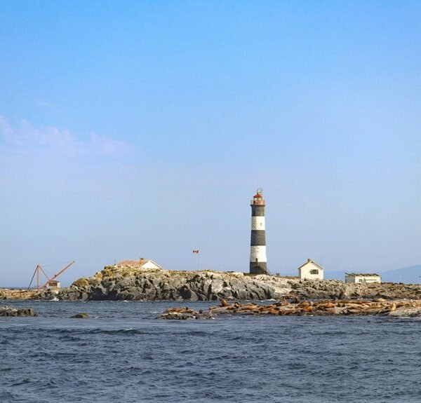 navigation report on signals