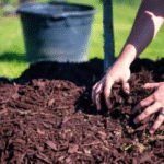Three Inches Once Beats Two Thin Mulch Deliveries